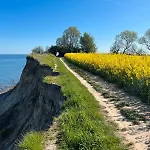 Strandgut - *