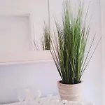 Strandgut - Apartament