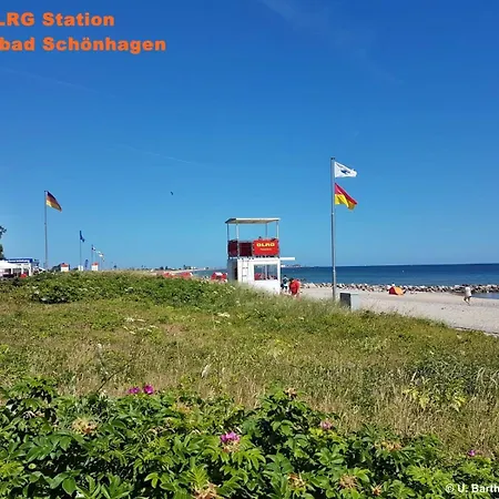 Strandgut - *