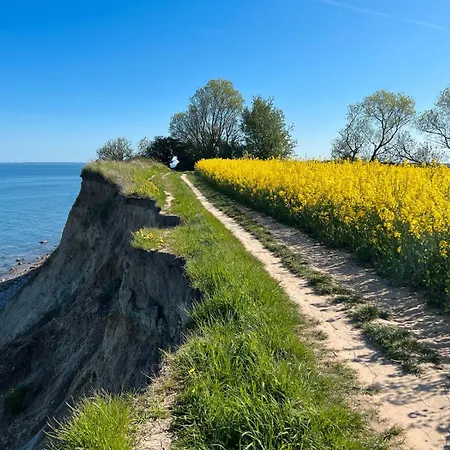 Strandgut - *
