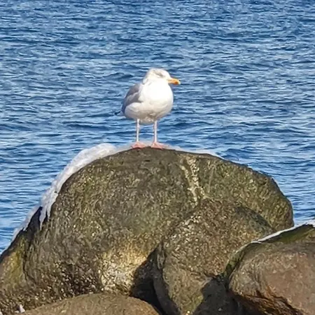 Strandgut - Апартаменты