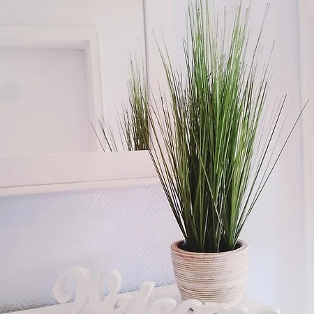 Strandgut - Apartmán